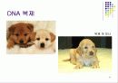 영상문화의이해-아우라 25페이지