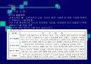 첨단산업과 전통산업의 국제경쟁력 비교-네오솔과 삼일염직- 10페이지