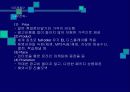 첨단산업과 전통산업의 국제경쟁력 비교-네오솔과 삼일염직- 16페이지