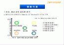 리더십의 이해 전통적 리더십이론과 현대적 리더십이론 20페이지