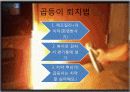 꼽등이 탐구생활 10페이지