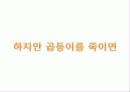 꼽등이 탐구생활 11페이지