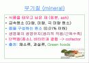 몸을 이루는 원소의 모든 것 무기질(mineral) 2페이지