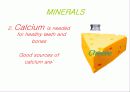 몸을 이루는 원소의 모든 것 무기질(mineral) 5페이지
