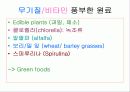 몸을 이루는 원소의 모든 것 무기질(mineral) 6페이지