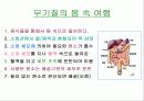 몸을 이루는 원소의 모든 것 무기질(mineral) 13페이지