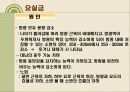 노화와 장수생활과 건강 29페이지