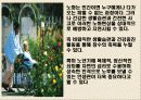 노화와 장수생활과 건강 32페이지