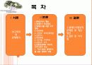 생태도시의 비교를 통한 정책 및 시사점 2페이지