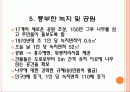 생태도시의 비교를 통한 정책 및 시사점 16페이지