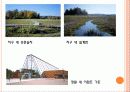 생태도시의 비교를 통한 정책 및 시사점 26페이지