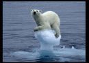Stop! Global Warming 20페이지