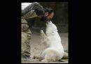 Stop! Global Warming 52페이지