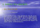 도심 속의 자연을 꿈꾸며- ‘분당환경시민의 모임’ 답사기 - 17페이지