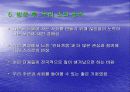 도심 속의 자연을 꿈꾸며- ‘분당환경시민의 모임’ 답사기 - 27페이지
