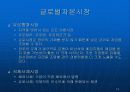 글로벌경영 글로벌금융환경 13페이지