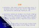 환경단체 소개 17페이지