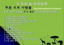 환경단체 소개 23페이지