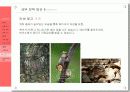 AIDS 자발적 검사 활성화를 위한 커뮤니케이션 전략안 22페이지