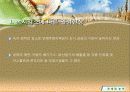 인구 및 국토면적 변화에 따른 온난화 지표 16페이지