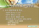 인구 및 국토면적 변화에 따른 온난화 지표 24페이지