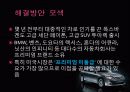 현대자동차 미국시장진출 마케팅 성공사례 41페이지
