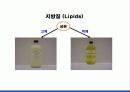 지질 (Lipid) 5페이지