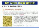 지질 (Lipid) 13페이지