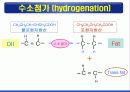 지질 (Lipid) 18페이지