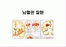 한국인의 만성질환 생활과 건강  56페이지