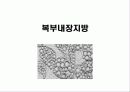 한국인의 만성질환 생활과 건강  70페이지