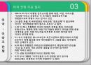 이라크 전쟁 27페이지