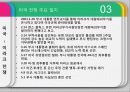 이라크 전쟁 29페이지