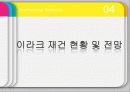 이라크 전쟁 30페이지