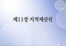 지적재산권 1페이지