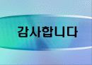 총액인건비제도 40페이지