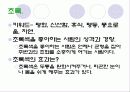 색채 심리학 19페이지