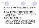 색채 심리학 31페이지