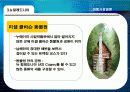 [여행사 경영론] 해외여행 선호지역 및 만족과 문제점 28페이지