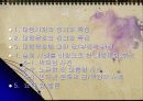 대중문화에 대한 긍정적 부정적 관점 2페이지