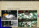 대중문화에 대한 긍정적 부정적 관점 19페이지