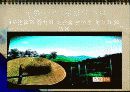대중문화에 대한 긍정적 부정적 관점 21페이지