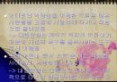 대중문화에 대한 긍정적 부정적 관점 26페이지