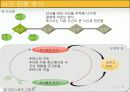 서양문학의이해 댄 브라운과  그의 작품 11페이지