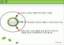 서양문학의이해 댄 브라운과  그의 작품 14페이지