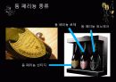 돔 페리뇽 와인 6페이지