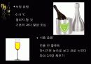 돔 페리뇽 와인 23페이지