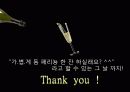 돔 페리뇽 와인 25페이지