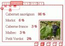 opus one 와인 4페이지