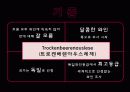 trockenbeerenauslese 3페이지